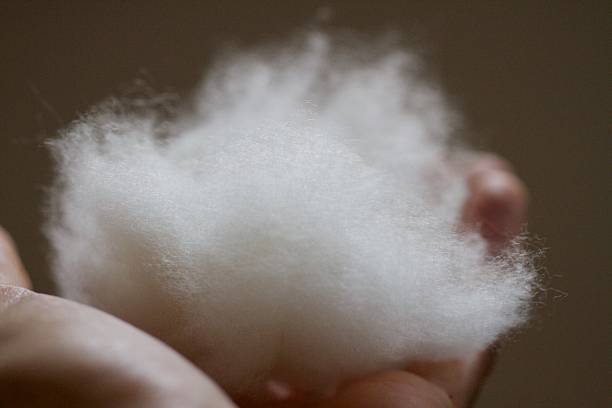 A hand gently holds soft, fluffy natural fibers, perfect for a warm blanket.